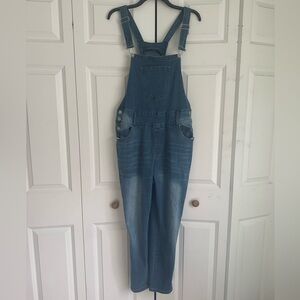 Plus sz 2X SHEIN CURVE Denim MEDIUM WASH BLUE SKINNY LEG Overalls